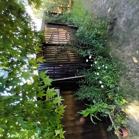 D Les Bains Andernos-les-Bains