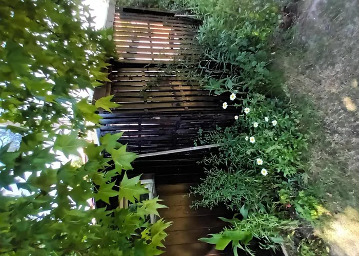 D Les Bains Andernos-les-Bains